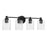 Craftmade Lyndsey 4 Light Vanity, Black/Clear Textured