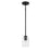 Craftmade Lyndsey 1 Light Mini Pendant, Black/Clear Textured - 60291-FB