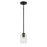 Craftmade Lyndsey 1 Light Mini Pendant, Black/Clear Textured