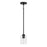 Craftmade Lyndsey 1 Light Mini Pendant, Black/Clear Textured