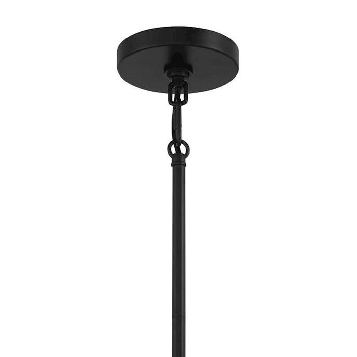 Craftmade Lyndsey 1 Light Mini Pendant, Black/Clear Textured