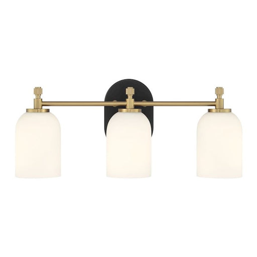 Craftmade Council 3 Light Vanity, Black/Brass/White Frosted