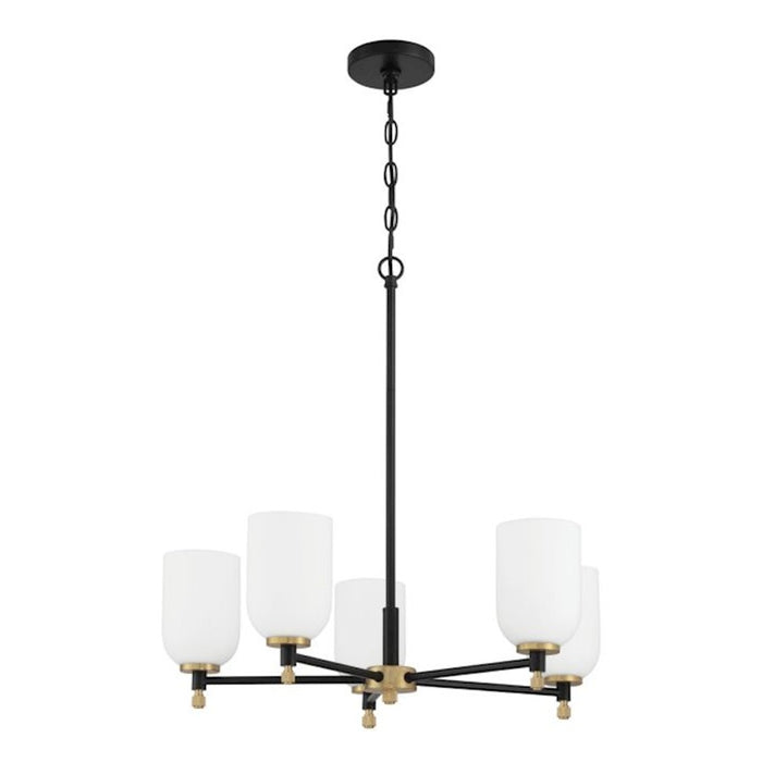 Craftmade Council 5 Light Chandelier, Black/Brass/White Frosted - 60325-FBSB