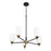 Craftmade Council 5 Light Chandelier, Black/Brass/White Frosted
