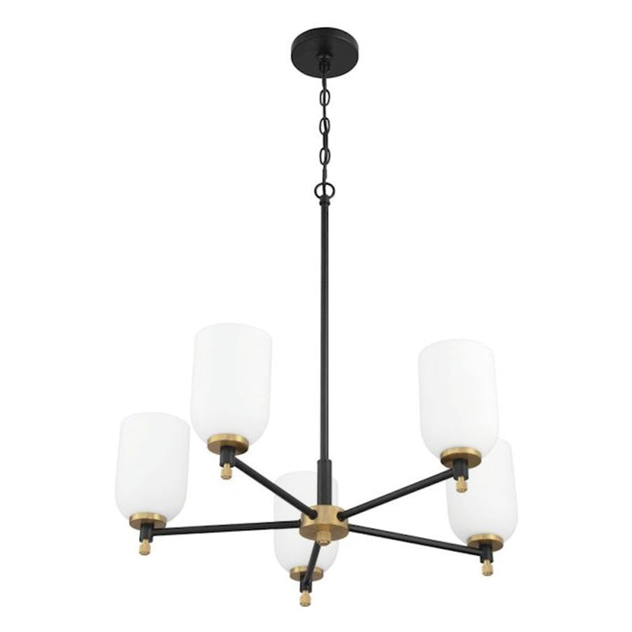 Craftmade Council 5 Light Chandelier, Black/Brass/White Frosted