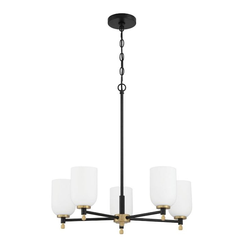 Craftmade Council 5 Light Chandelier, Black/Brass/White Frosted