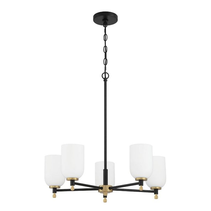 Craftmade Council 5 Light Chandelier, Black/Brass/White Frosted