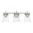 Craftmade Connell 3 Light Vanity, Nickel/Clear