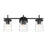 Craftmade Connell 3 Light Vanity, Black/Clear