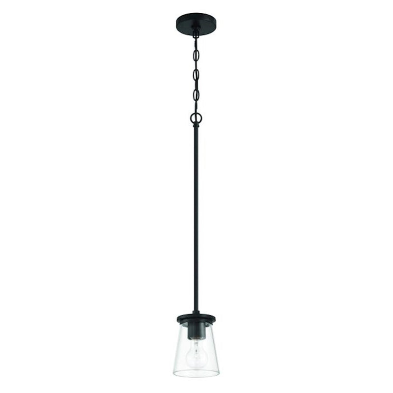 Craftmade Connell 1 Light Mini Pendant, Black/Clear