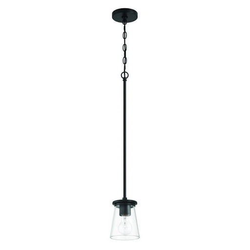Craftmade Connell 1 Light Mini Pendant, Black/Clear - 60491-FB