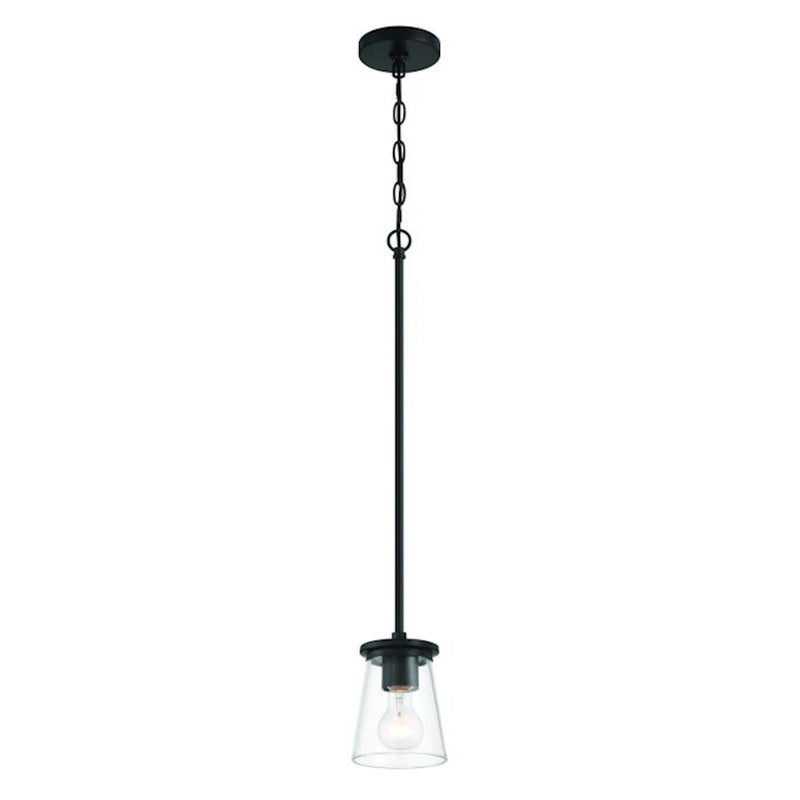Craftmade Connell 1 Light Mini Pendant, Black/Clear