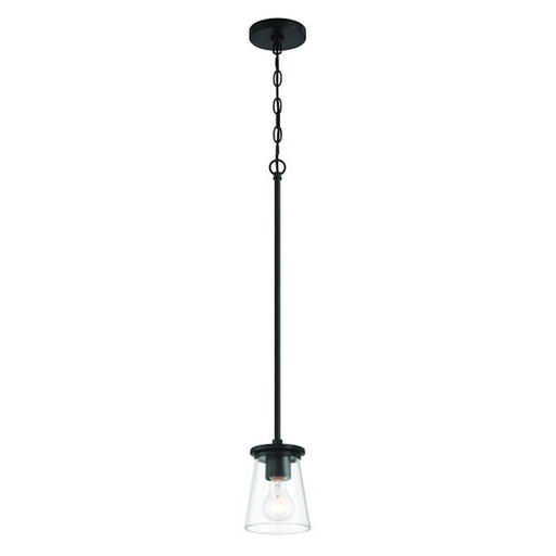 Craftmade Connell 1 Light Mini Pendant, Black/Clear
