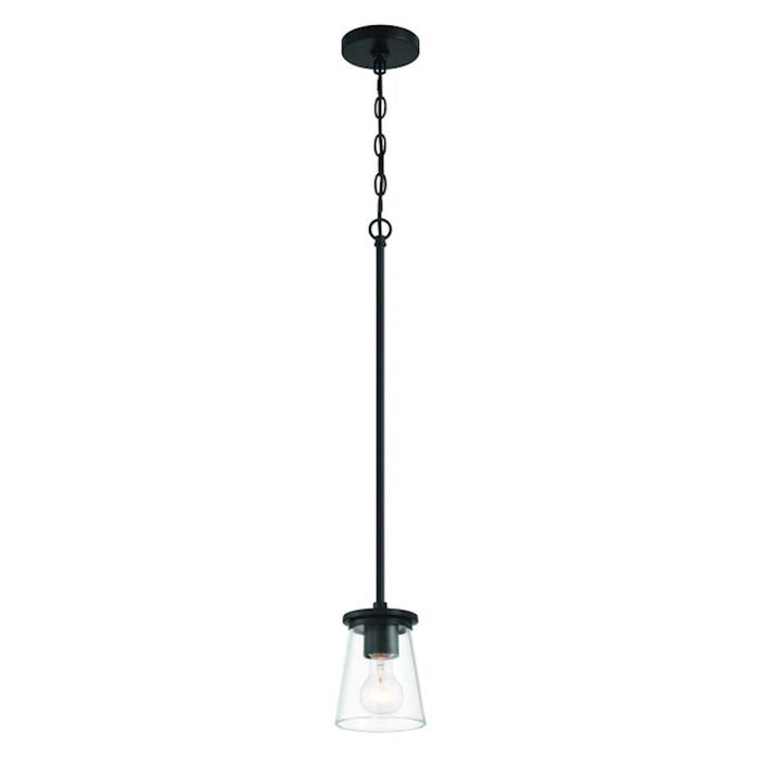 Craftmade Connell 1 Light Mini Pendant, Black/Clear