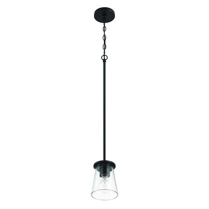 Craftmade Connell 1 Light Mini Pendant, Black/Clear