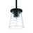 Craftmade Connell 1 Light Mini Pendant, Black/Clear