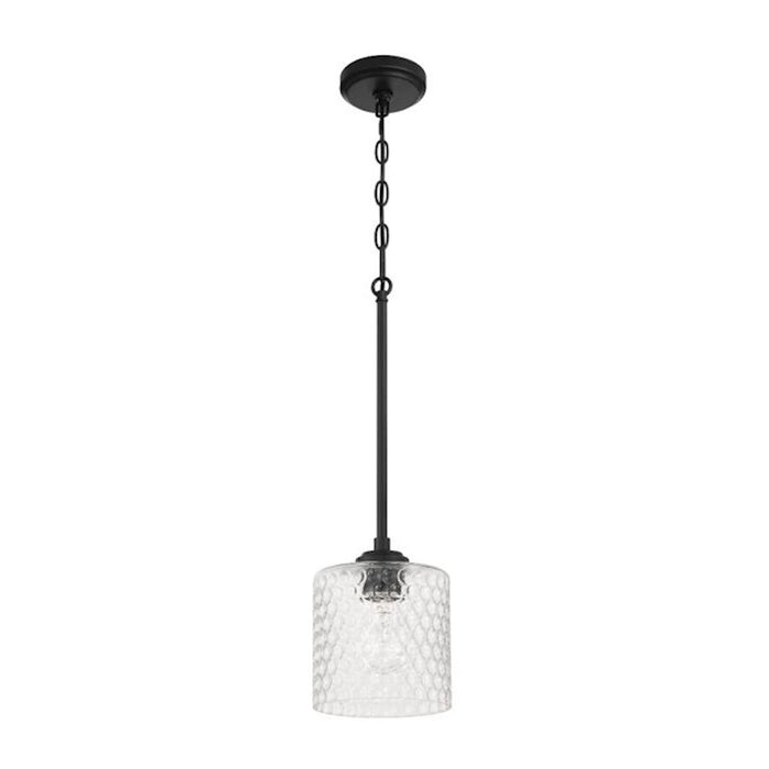 Craftmade Claire 1 Light Mini Pendant, Black/Clear Bubble - 60591-FB