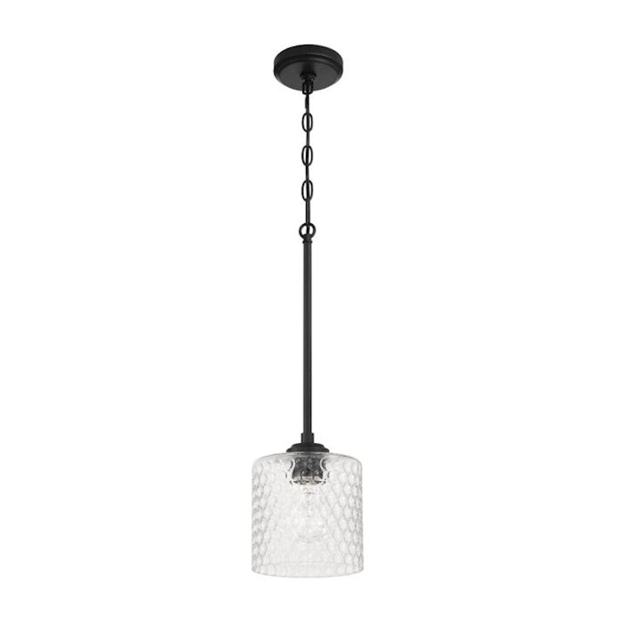 Craftmade Claire 1 Light Mini Pendant, Black/Clear Bubble - 60591-FB