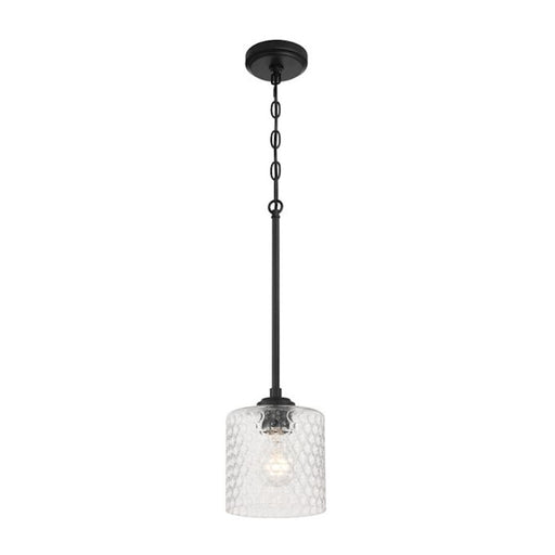 Craftmade Claire 1 Light Mini Pendant, Black/Clear Bubble