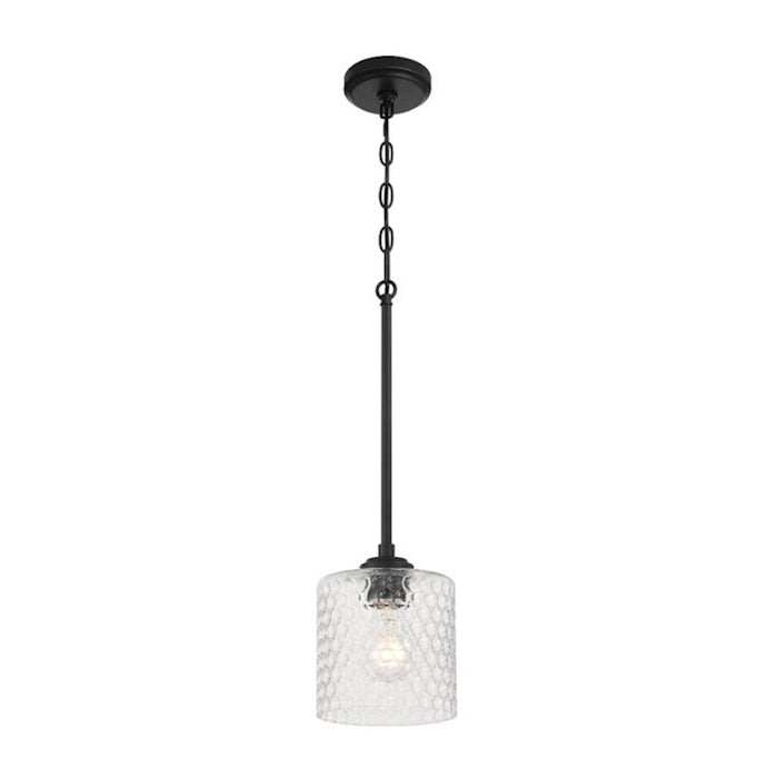 Craftmade Claire 1 Light Mini Pendant, Black/Clear Bubble