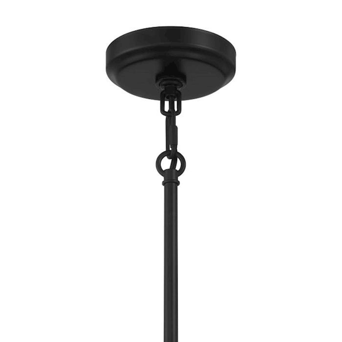 Craftmade Claire 1 Light Mini Pendant, Black/Clear Bubble