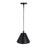 Craftmade Blake 1 Light Pendant, Flat Black/Satin Brass/Flat Black