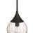 Craftmade Reflection 1 Light Mini Pendant, Flat Black/Clear Textured
