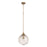 Craftmade Reflection 1 Light Pendant, Premium Bronze/Clear Textured - 61292-CPZ