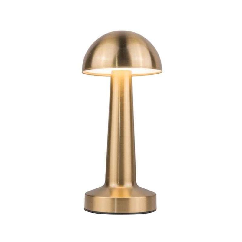 Craftmade Joni 1 Light LED Rechargeable Lamp, Brass/Frost