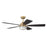 Craftmade Chandler 1Lt 52" Fan, Brass/Flat Black/Black Walnut