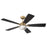 Craftmade Chandler 1Lt 52" Fan, Brass/Flat Black/Black Walnut