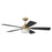 Craftmade Chandler 1Lt 52" Fan, Brass/Flat Black/Black Walnut