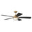 Craftmade Chandler 1Lt 52" Fan, Brass/Flat Black/Black Walnut