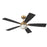 Craftmade Chandler 1Lt 52" Fan, Brass/Flat Black/Black Walnut