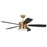 Craftmade Dominick 3Lt 52" Fan, Satin Brass/Black/Black Walnut
