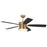 Craftmade Dominick 3Lt 52" Fan, Satin Brass/Black/Black Walnut