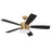 Craftmade Dominick 3Lt 52" Fan, Satin Brass/Black/Black Walnut
