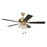 Craftmade Eos 52" 5-Blade Clear 4Lt Ceiling Fan, Brass/Black Walnut