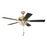 Craftmade Eos 52" 5-Blade Clear 2Lt Bowl Ceiling Fan, Brass/Black Walnut