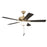 Craftmade Eos 52" 5-Blade Frost 2Lt Bowl Ceiling Fan, Brass/Black Walnut