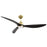 Craftmade Frazier 52" 3-Blade Ceiling Fan, Brass/Black