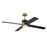 Craftmade Gregory 1Lt 56" Fan, Brass/Flat Black/Black Walnut
