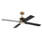 Craftmade Gregory 1Lt 56" Fan, Brass/Flat Black/Black Walnut