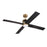 Craftmade Gregory 1Lt 56" Fan, Brass/Flat Black/Black Walnut
