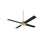 Craftmade Kelsey 52" 4-Blade Ceiling Fan, Brass/Black/Light Kit