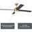 Craftmade Kelsey 52" 4-Blade Ceiling Fan, Brass/Black/Light Kit