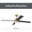 Craftmade Kelsey 52" 4-Blade Ceiling Fan, Brass/Black/Light Kit