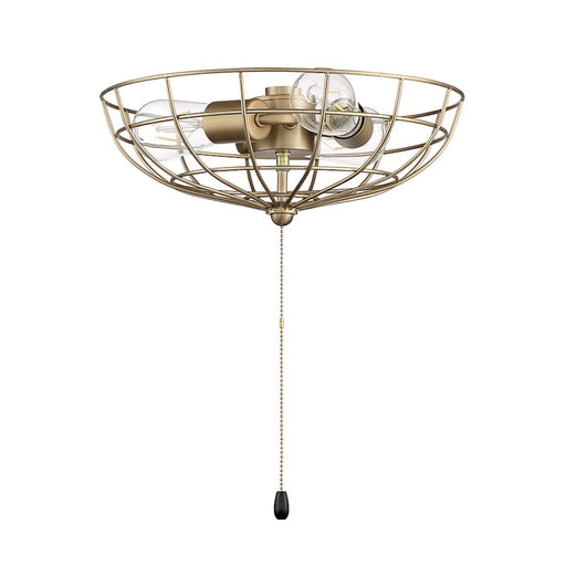 Craftmade Cage Bowl Light Kit
