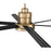 Craftmade Mondo 80 1Lt 80" Fan, Satin Brass/Flat Black