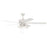 Craftmade Outdoor Super Pro 60" 4 Light Ceiling Fan